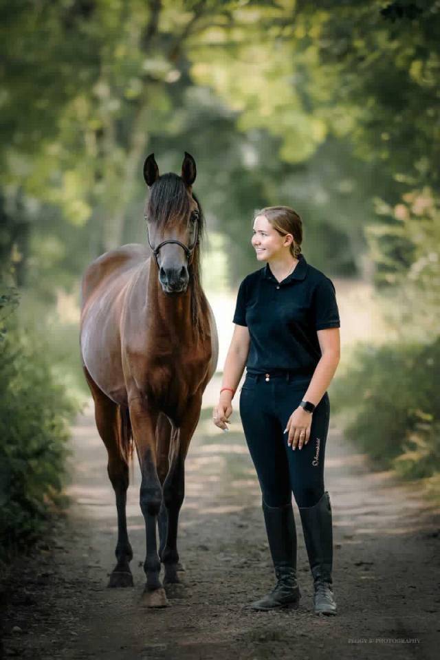 Azzaro de gacia - Arabian Thoroughbred 2022 by LAZEEZ AL SHAHANIA