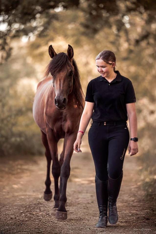 Azzaro de gacia - Arabian Thoroughbred 2022 by LAZEEZ AL SHAHANIA