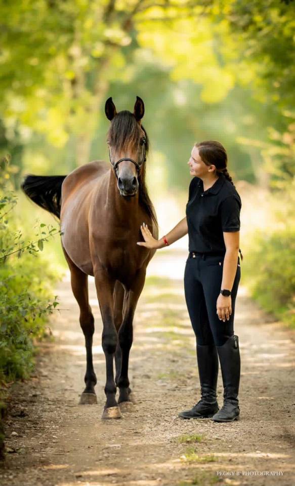 Azzaro de gacia - Arabian Thoroughbred 2022 by LAZEEZ AL SHAHANIA