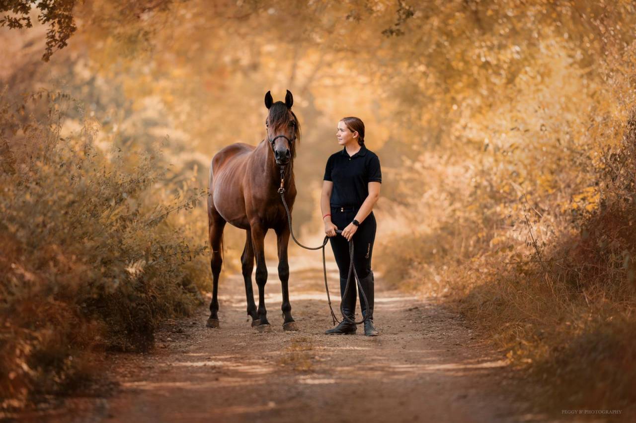 Azzaro de gacia - Arabian Thoroughbred 2022 by LAZEEZ AL SHAHANIA