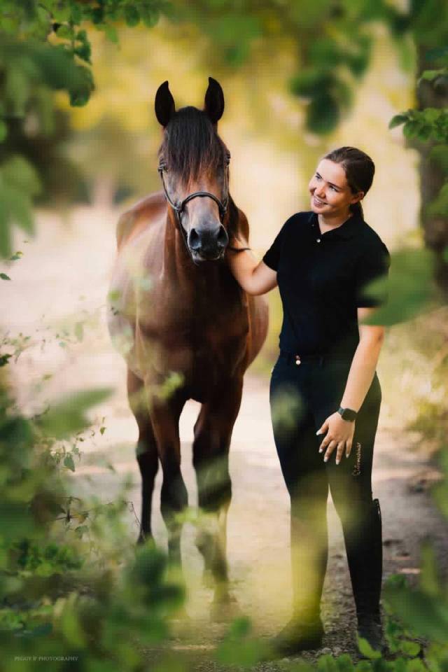 Azzaro de gacia - Arabian Thoroughbred 2022 by LAZEEZ AL SHAHANIA