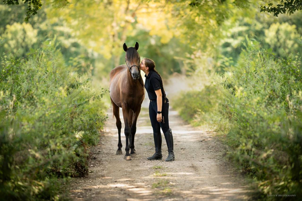 Azzaro de gacia - Arabian Thoroughbred 2022 by LAZEEZ AL SHAHANIA