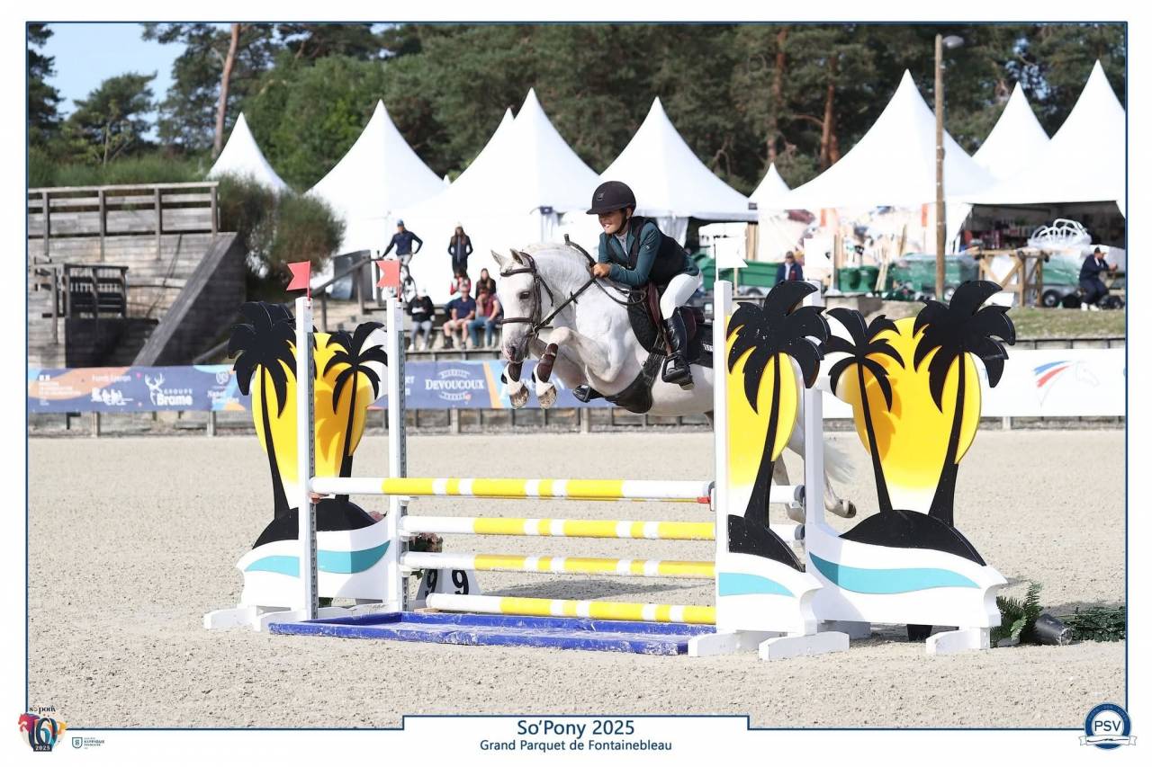 Kitsune Nast - French Saddle Pony 2020 by Cremell'aux Lays