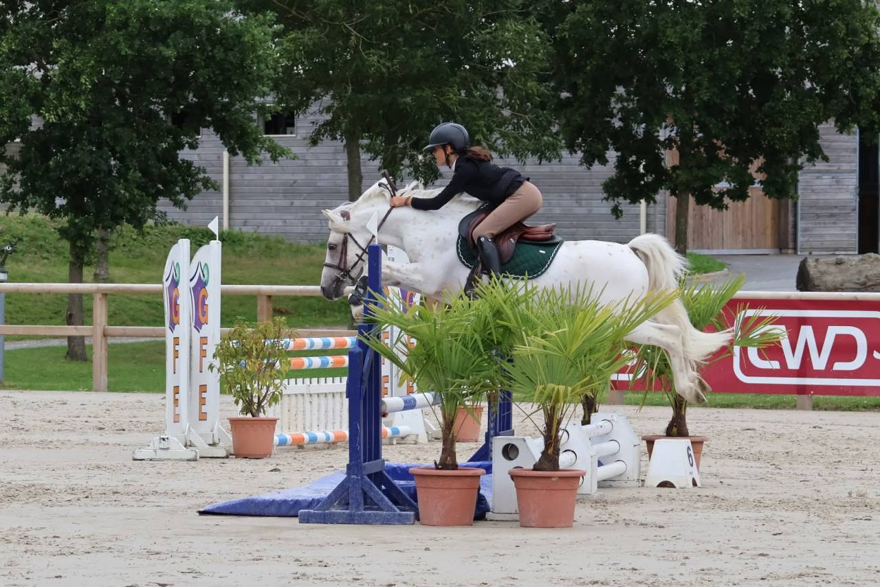 Kitsune Nast - French Saddle Pony 2020 by Cremell'aux Lays