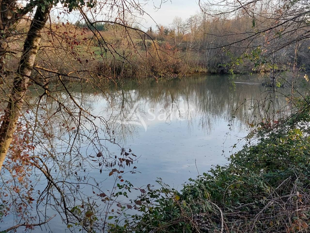 Vegetable farm  Dordogne