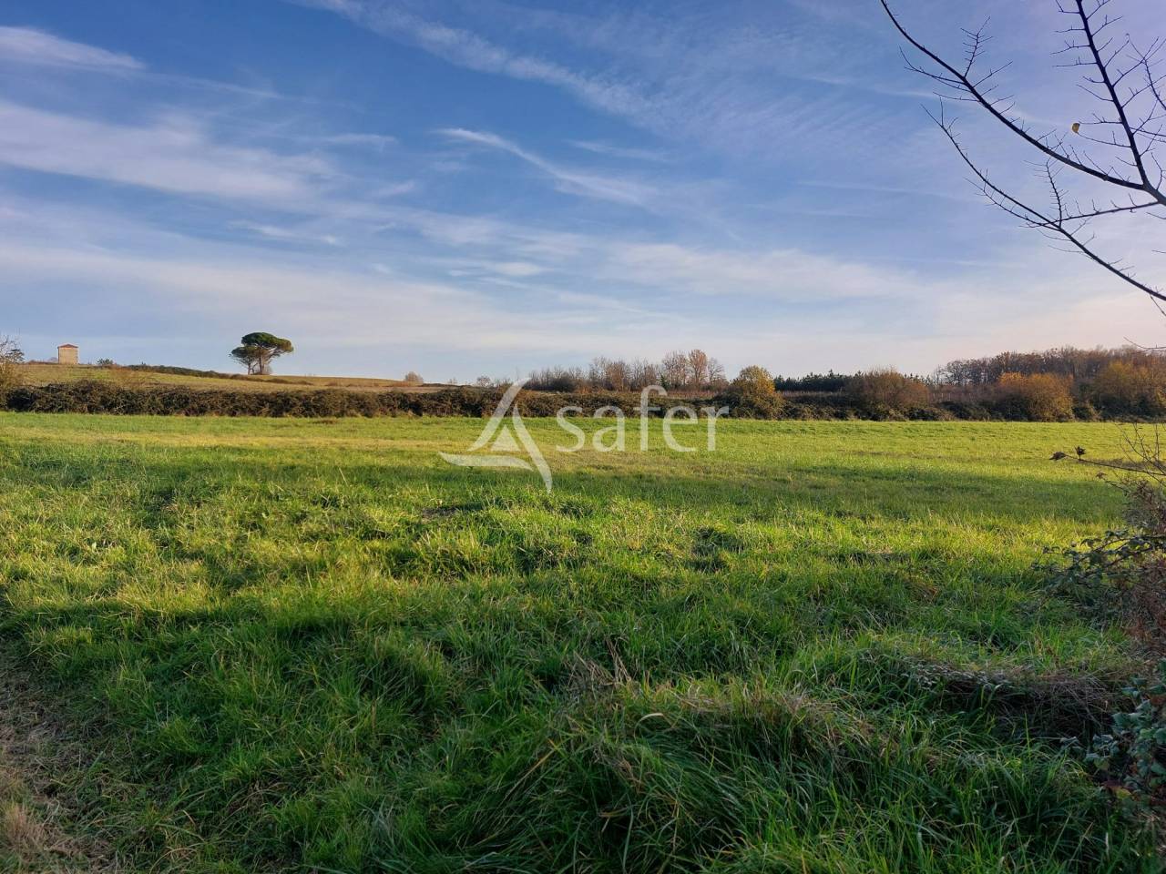 Vegetable farm  Dordogne