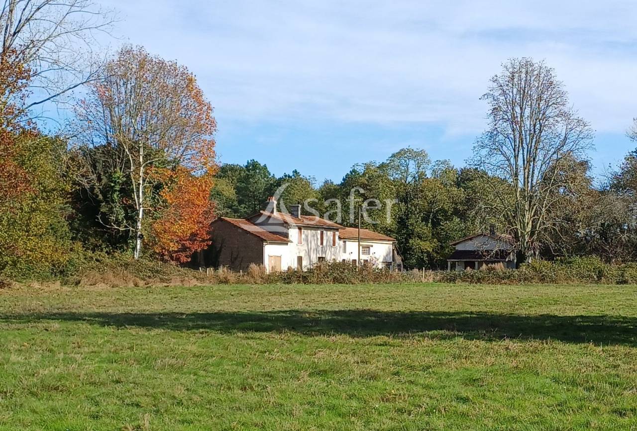 Sheep farm  Dordogne
