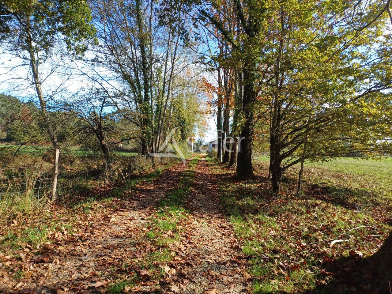 Sheep farm  Dordogne