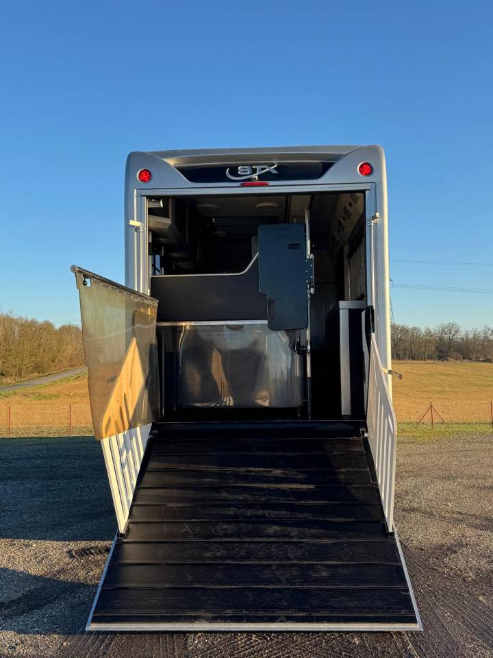 Horsebox NON-HGV Scania STX 2019 Used