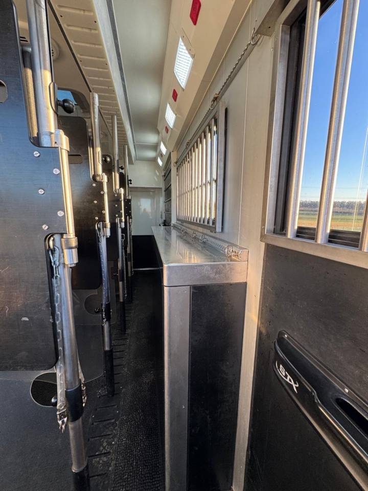 Horsebox NON-HGV Scania STX 2019 Used