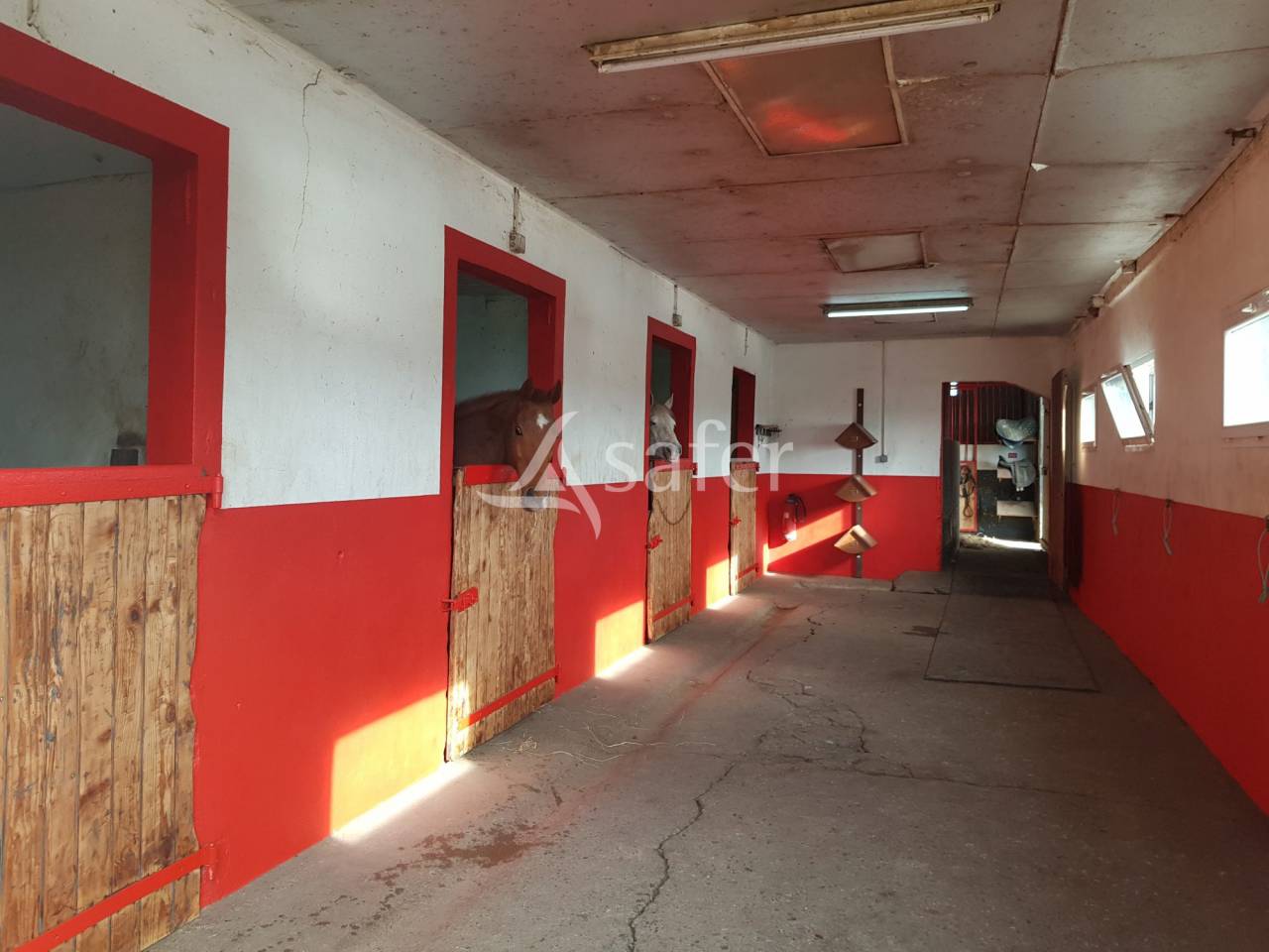 Equestrian property  Meurthe-et-Moselle