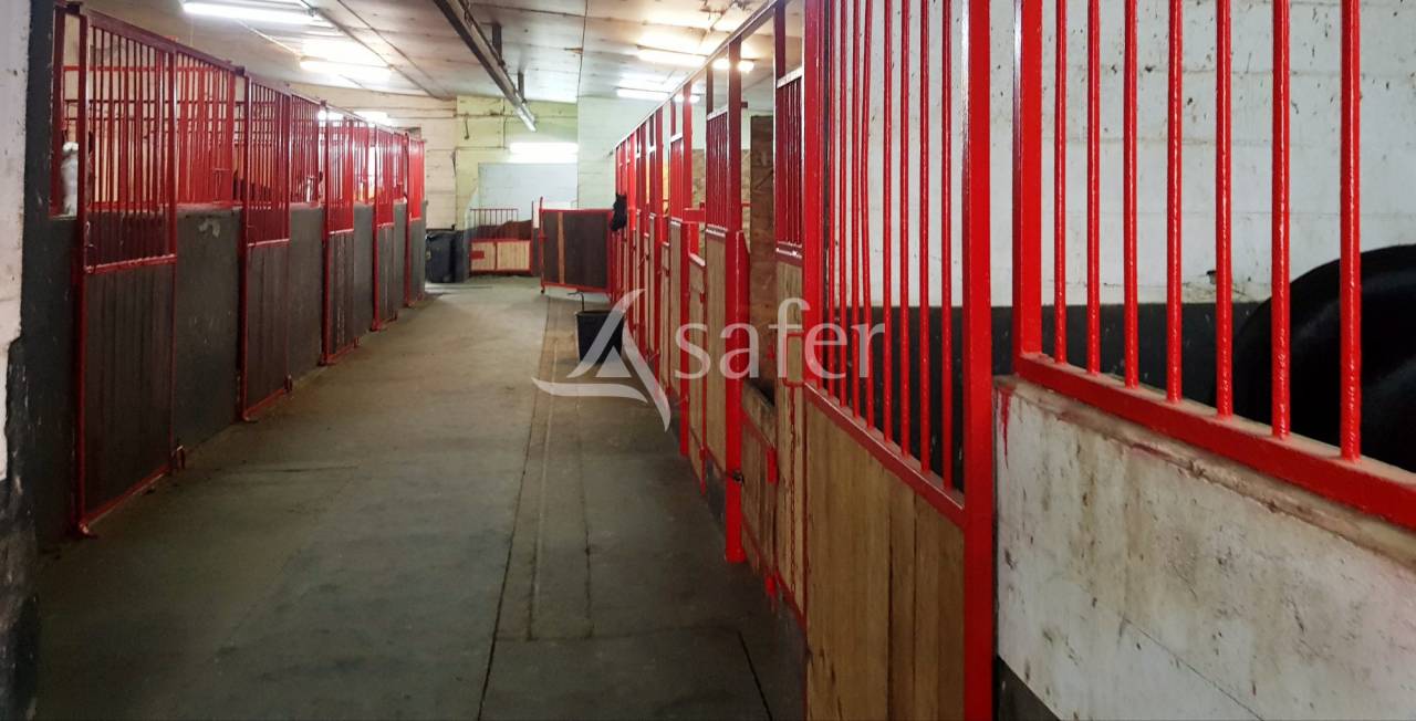 Equestrian property  Meurthe-et-Moselle