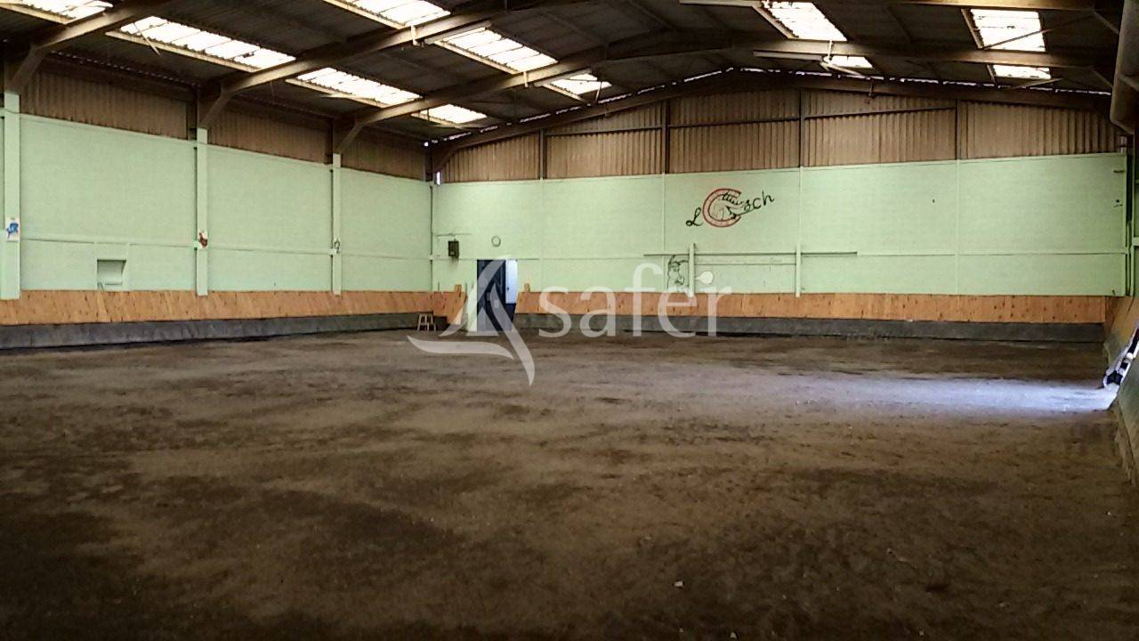 Equestrian property  Meurthe-et-Moselle