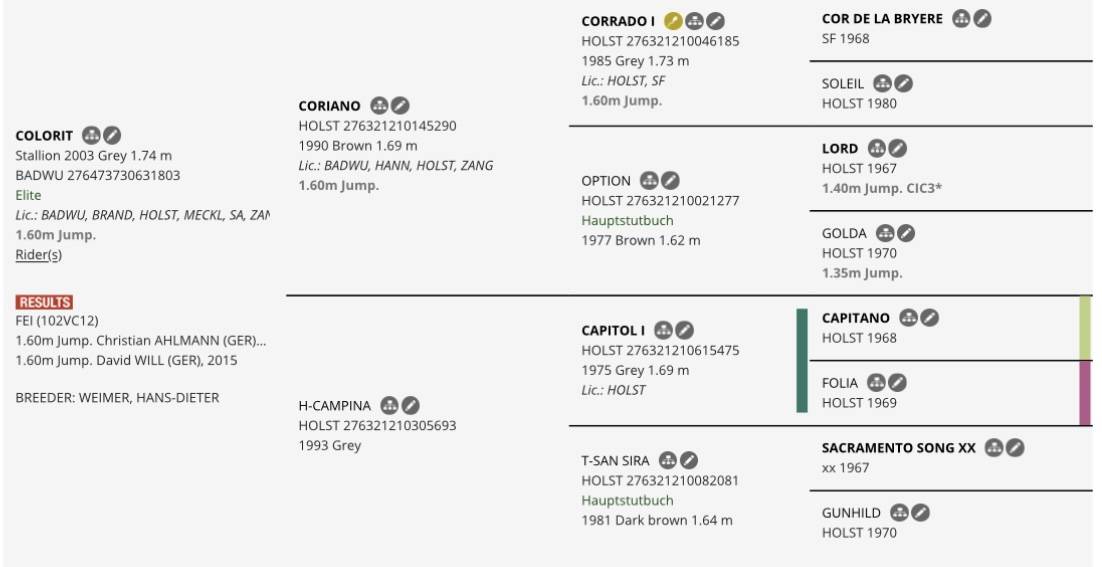 Mare Selle Français For sale 2021 Chesnut