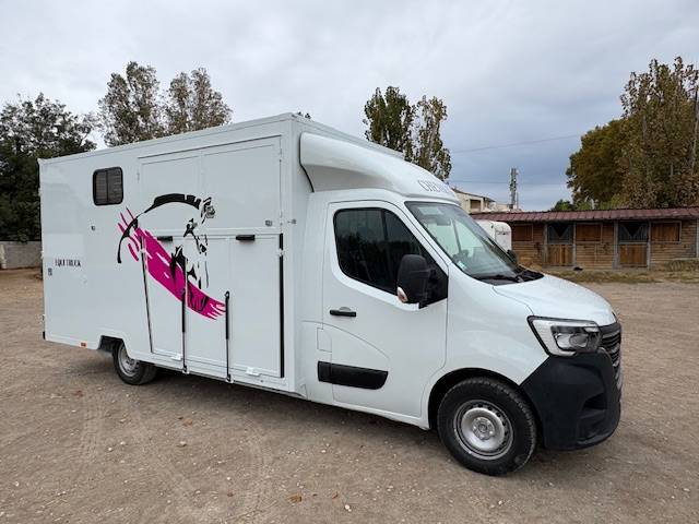 Horsebox HGV Renault  2021 Used
