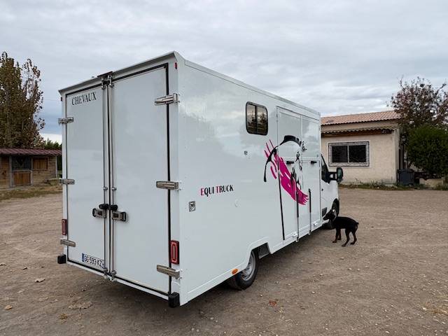 Horsebox HGV Renault  2021 Used
