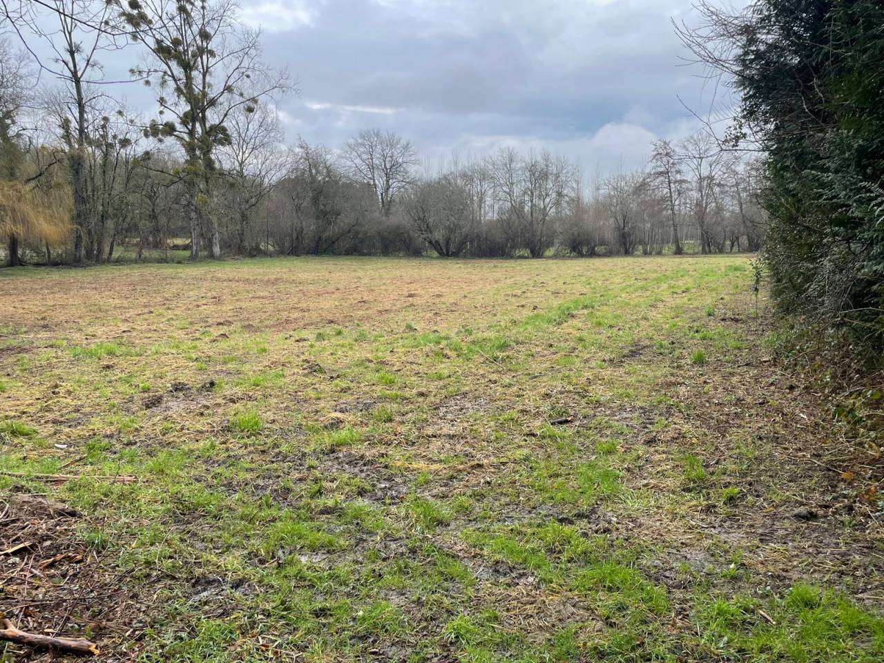 Equestrian Bed and Breakfast  Charente