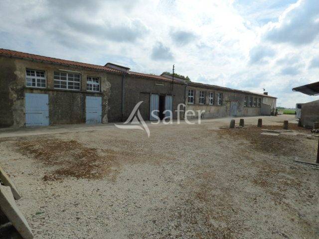 Other agricultural property  Charente-Maritime