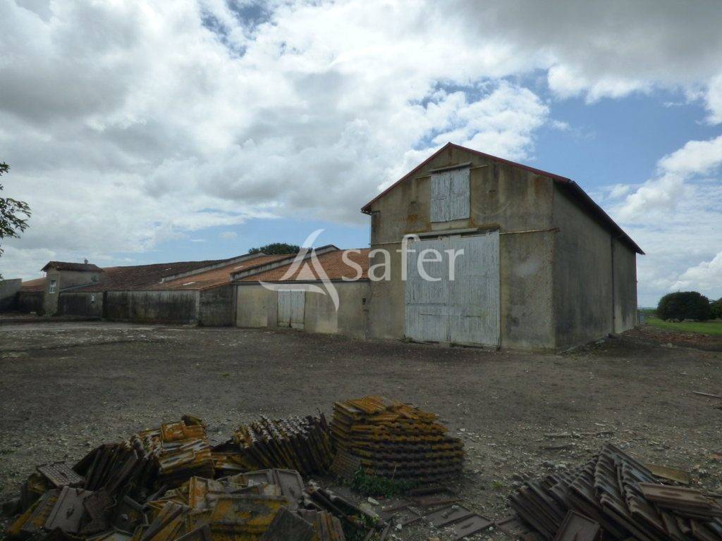 Other agricultural property  Charente-Maritime