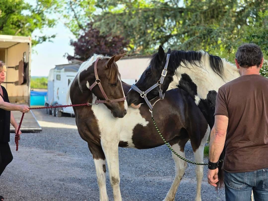 BLACK AND VHITEDEVAL  - Paint 2011