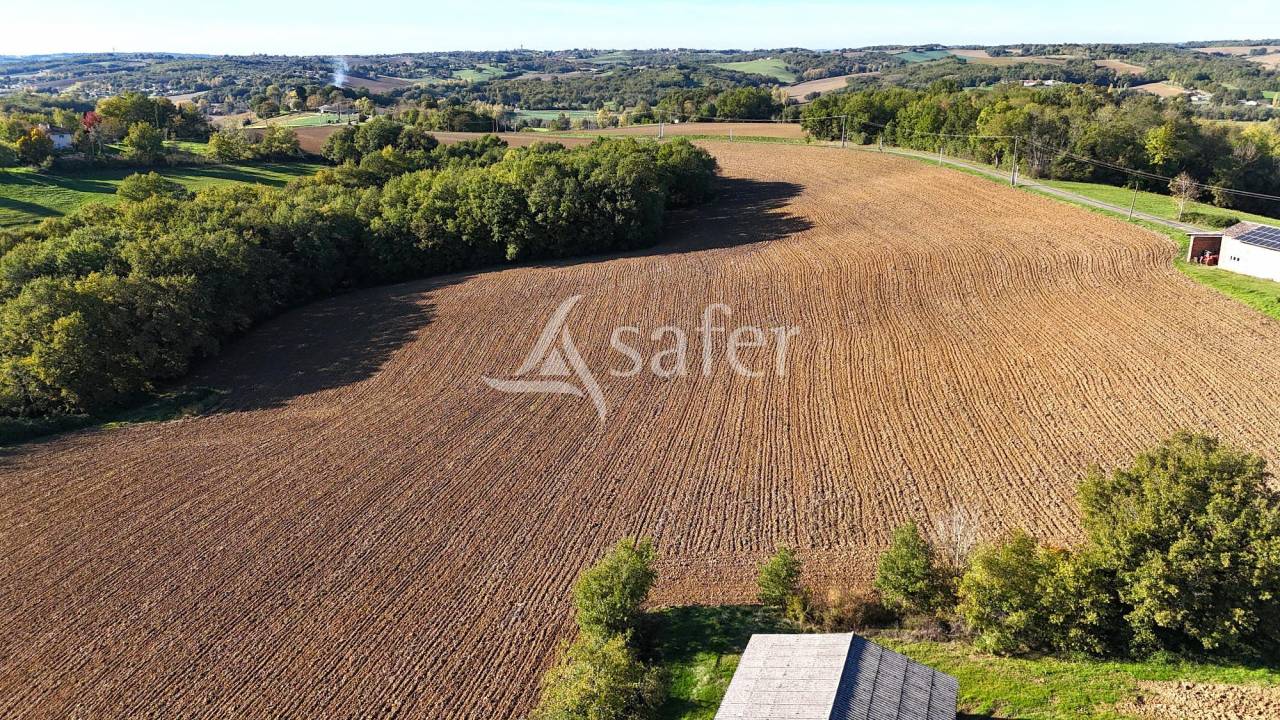 Sheep farm  Tarn-et-Taronne