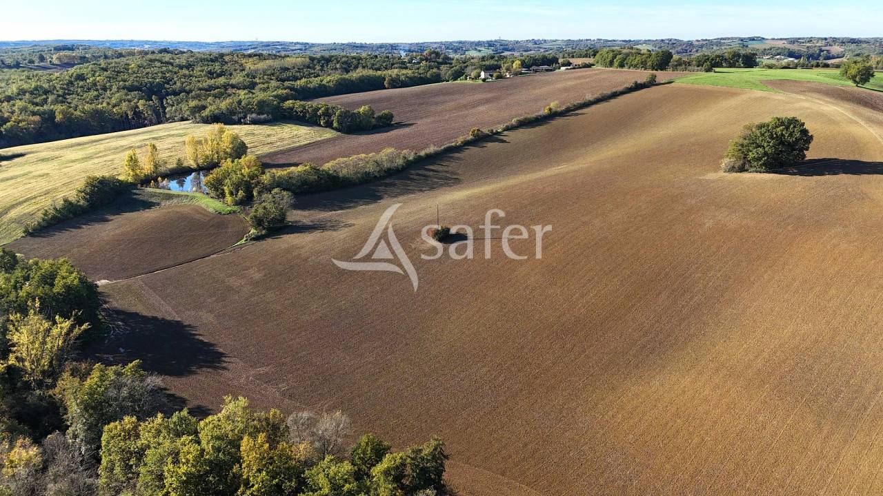 Sheep farm  Tarn-et-Taronne