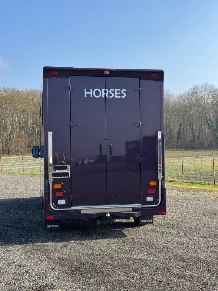 Horsebox HGV Chardron Renault Master 2023 Used