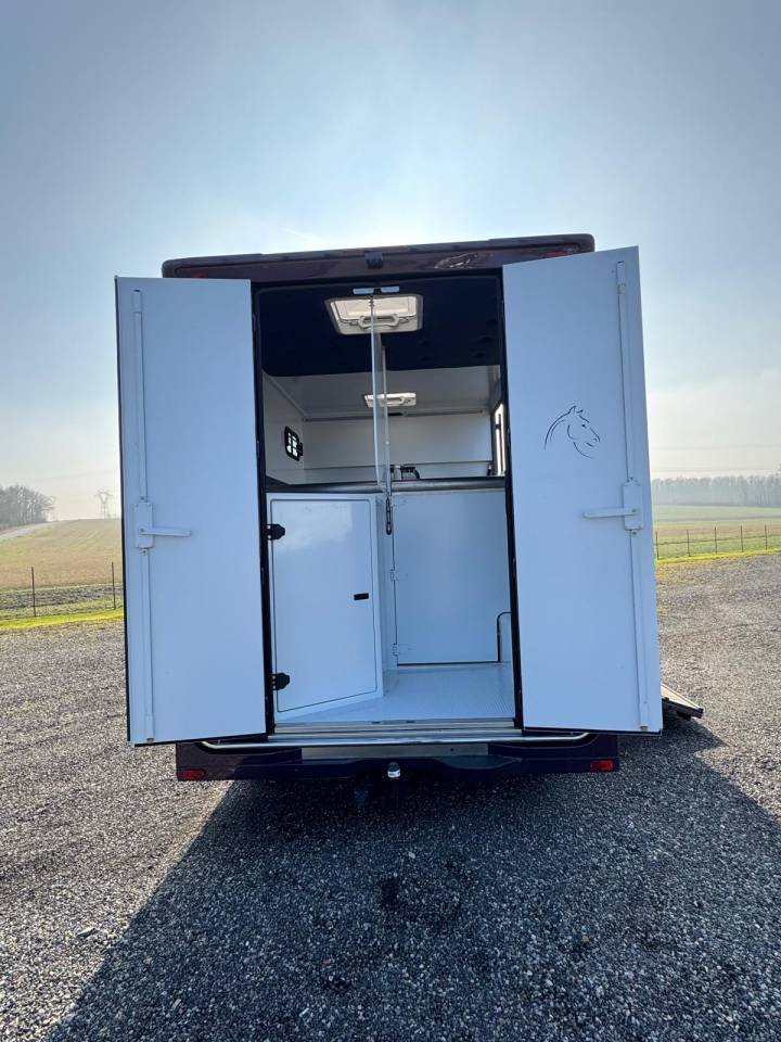 Horsebox HGV Chardron Renault Master 2023 Used