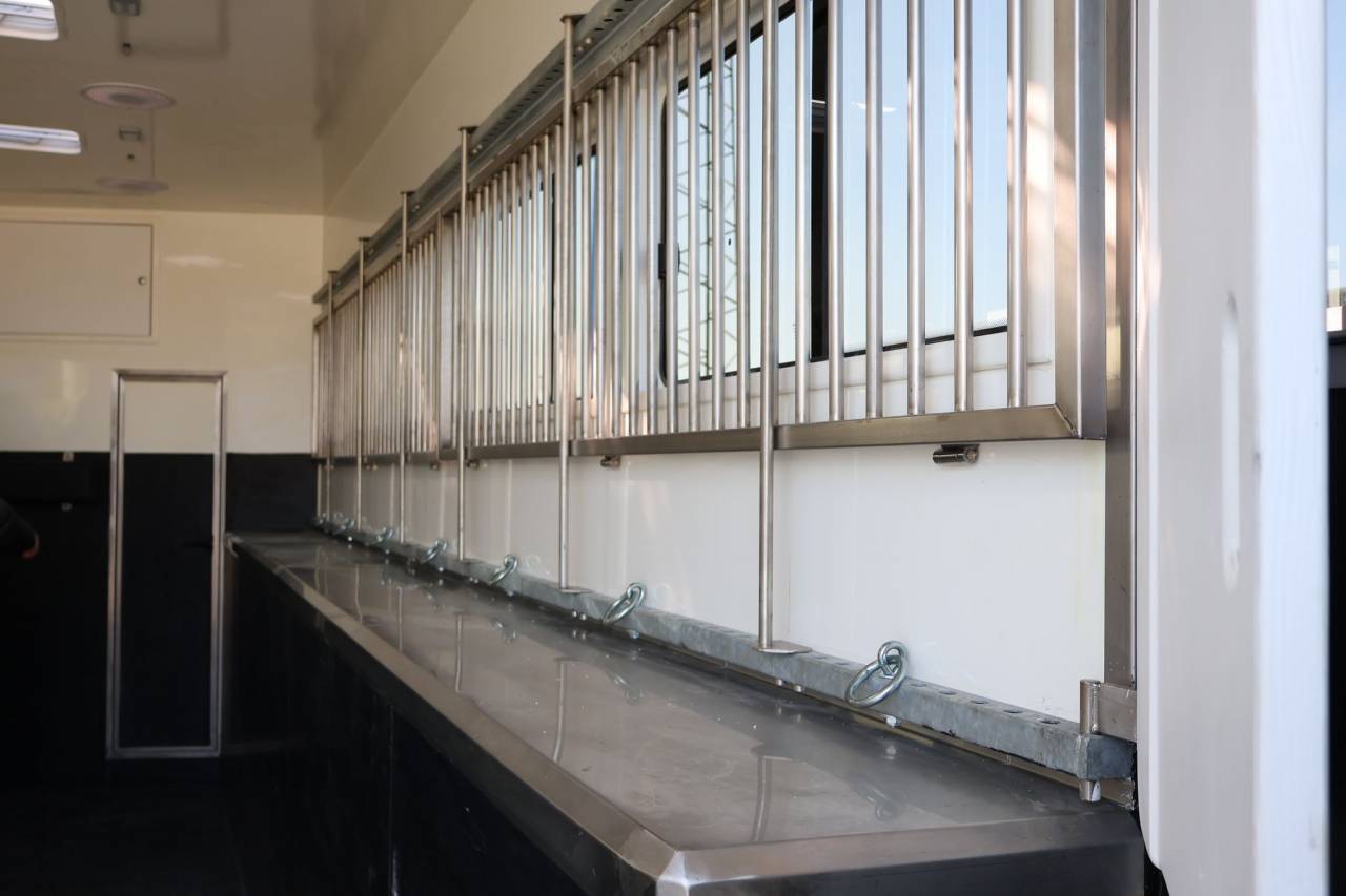 Horsebox NON-HGV - Other brand - MAN TGS 26.430 PAILLARD 8 CHEVAUX POP OUT 2025 New