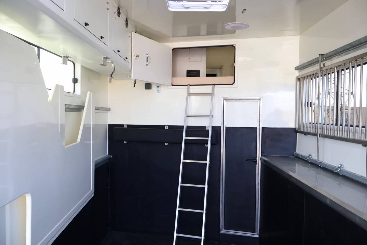 Horsebox NON-HGV - Other brand - MAN TGS 26.430 PAILLARD 8 CHEVAUX POP OUT 2025 New