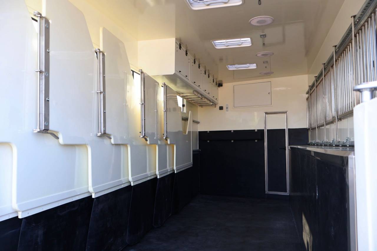 Horsebox NON-HGV - Other brand - MAN TGS 26.430 PAILLARD 8 CHEVAUX POP OUT 2025 New