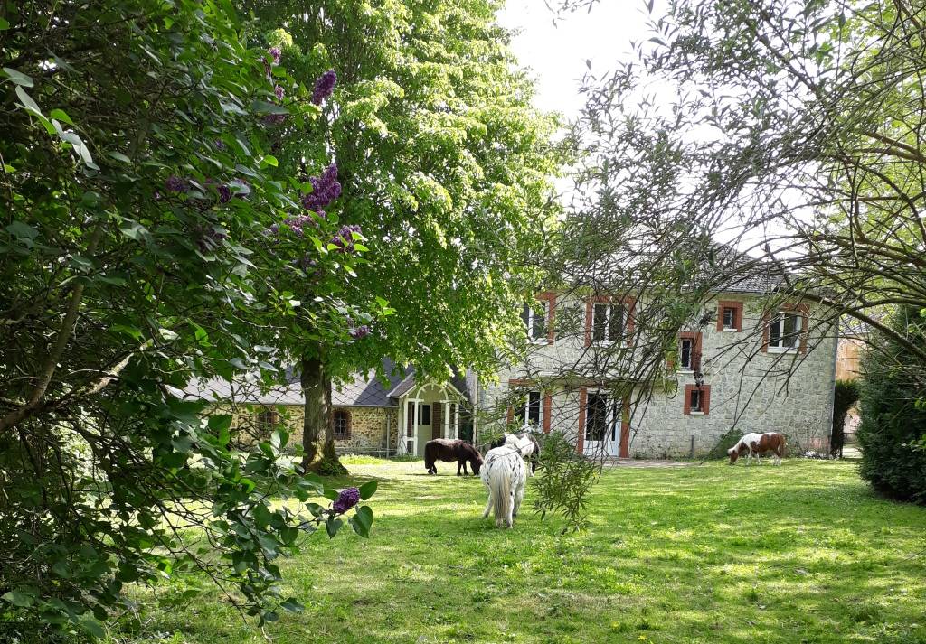 Luxurious equestrian property  Eure-et-Loir