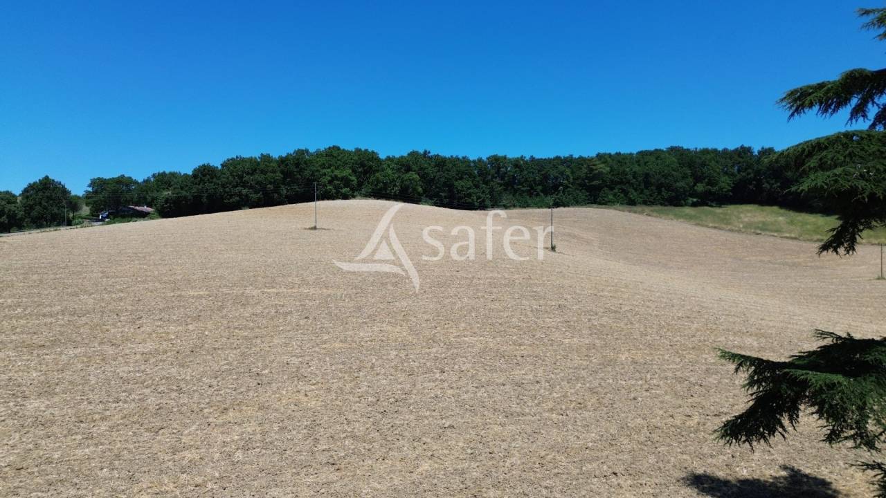 Equestrian property  Tarn-et-Taronne