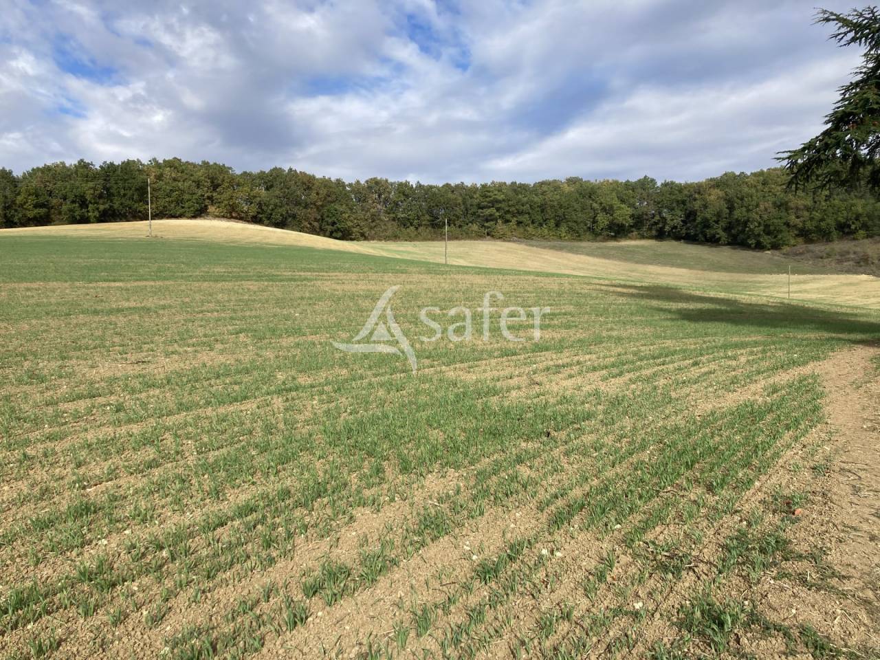 Equestrian property  Tarn-et-Taronne
