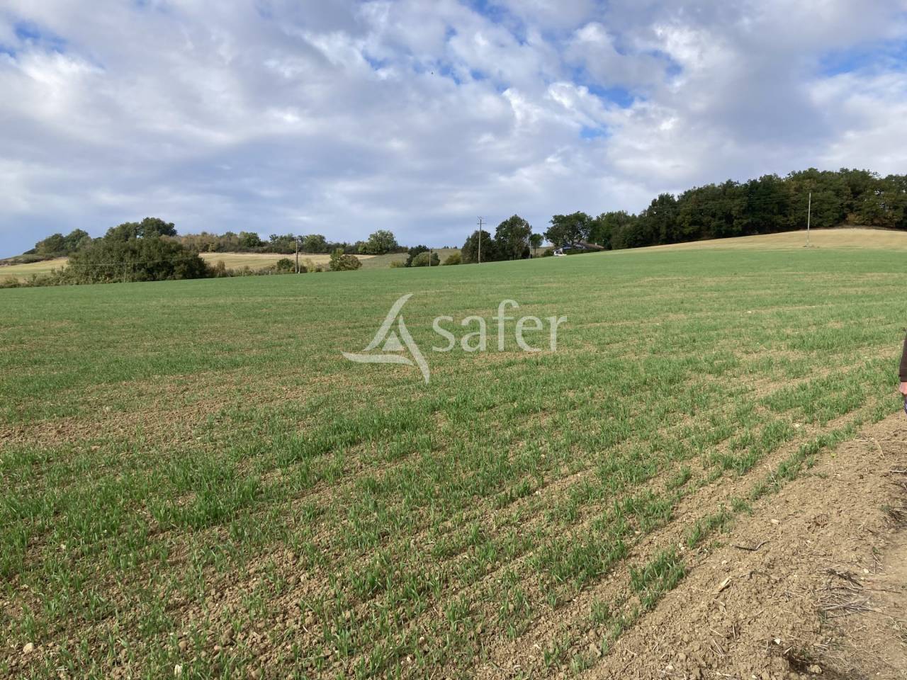 Equestrian property  Tarn-et-Taronne