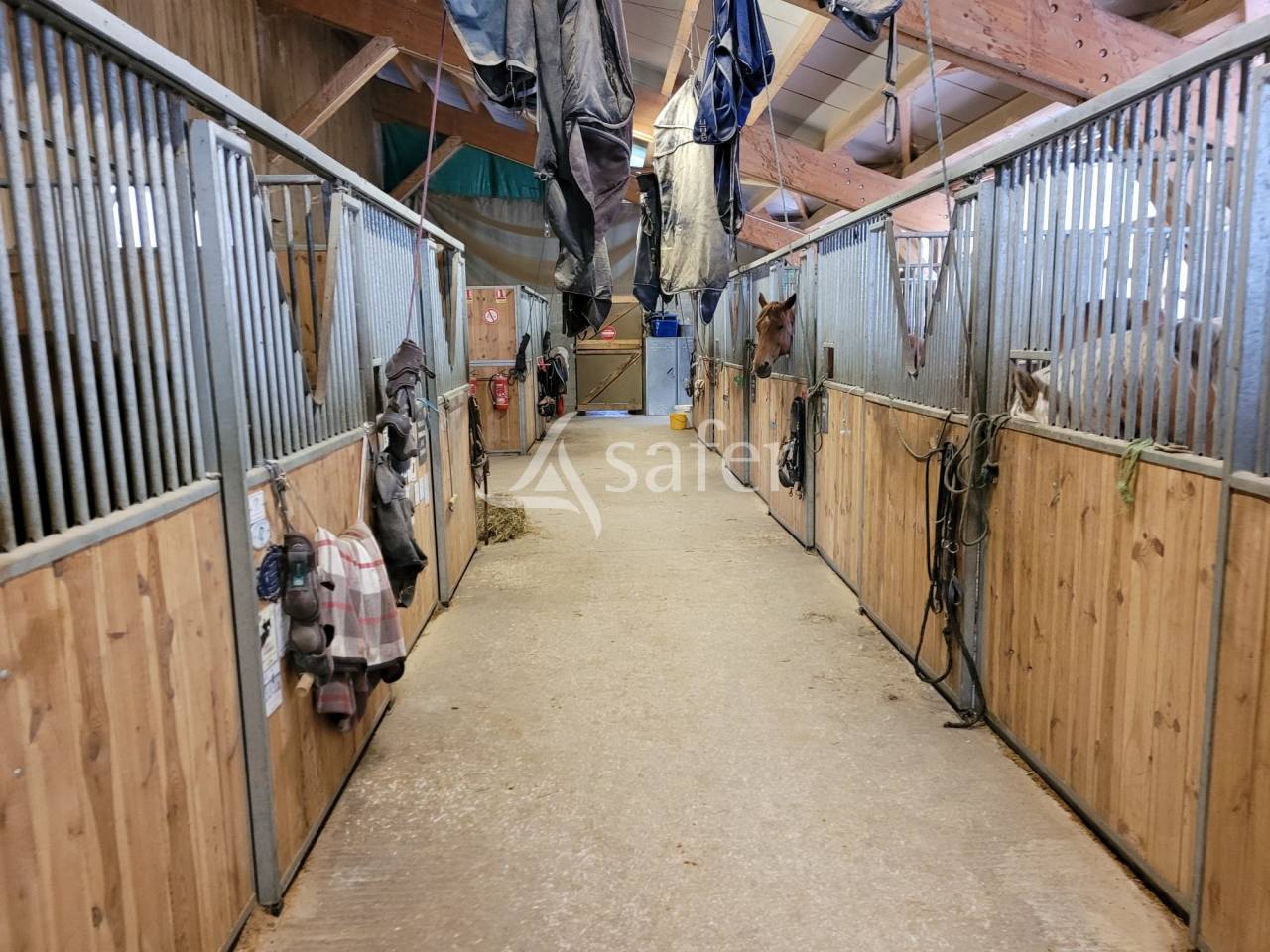 Equestrian property  Haute-Savoie