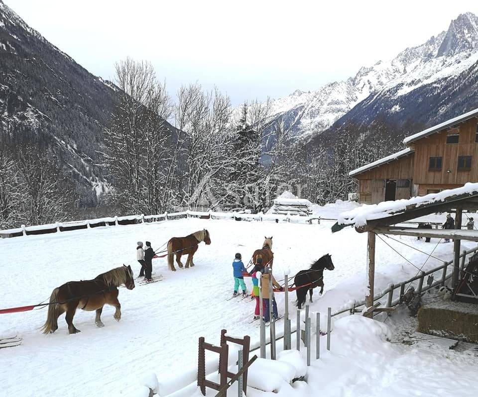 Equestrian property  Haute-Savoie