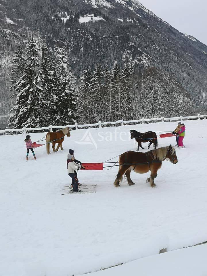 Equestrian property  Haute-Savoie
