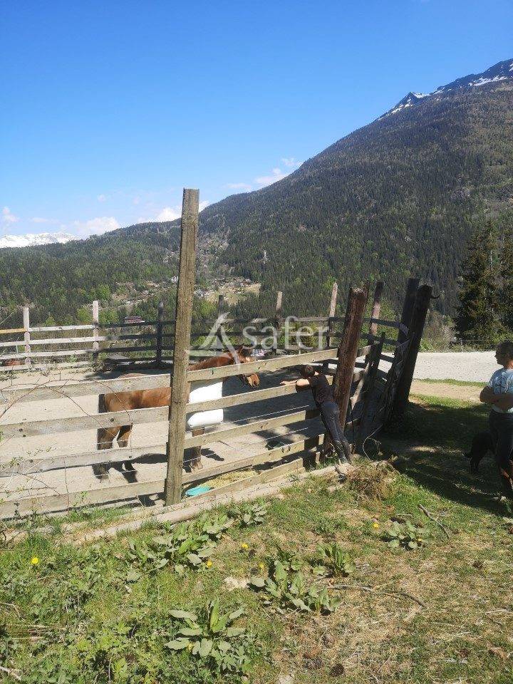 Equestrian property  Haute-Savoie