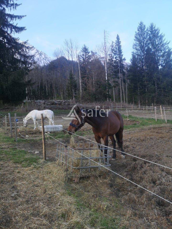 Equestrian property  Haute-Savoie