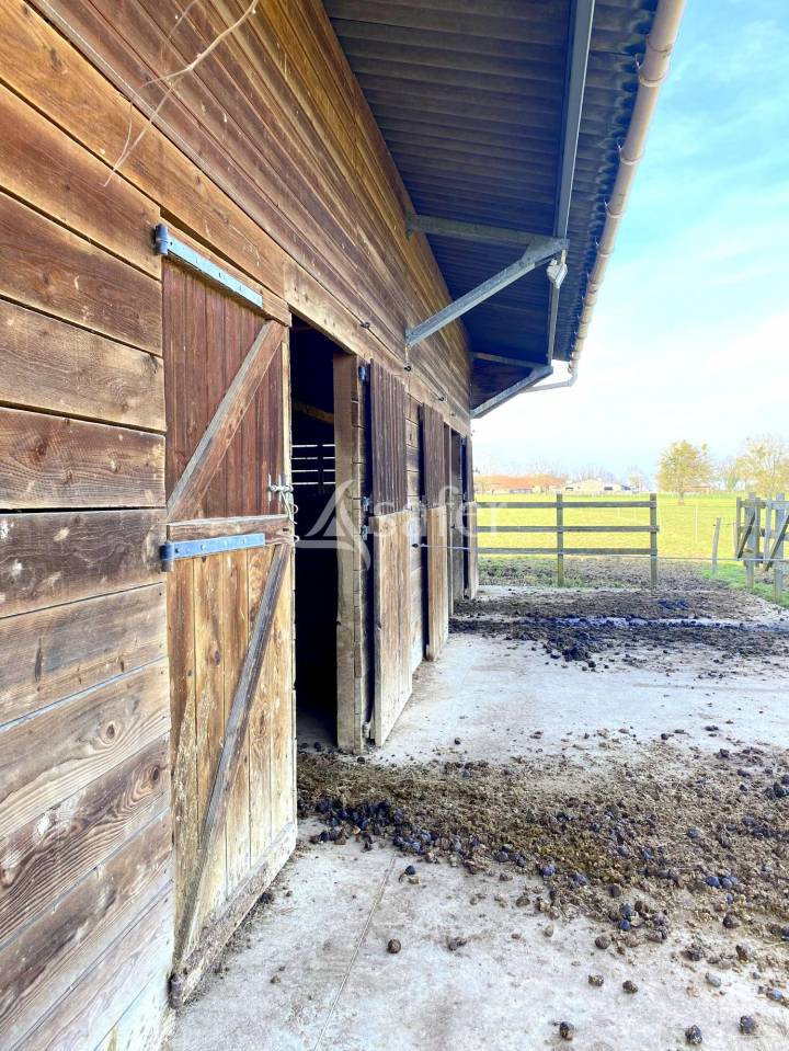 Equestrian property  Ain