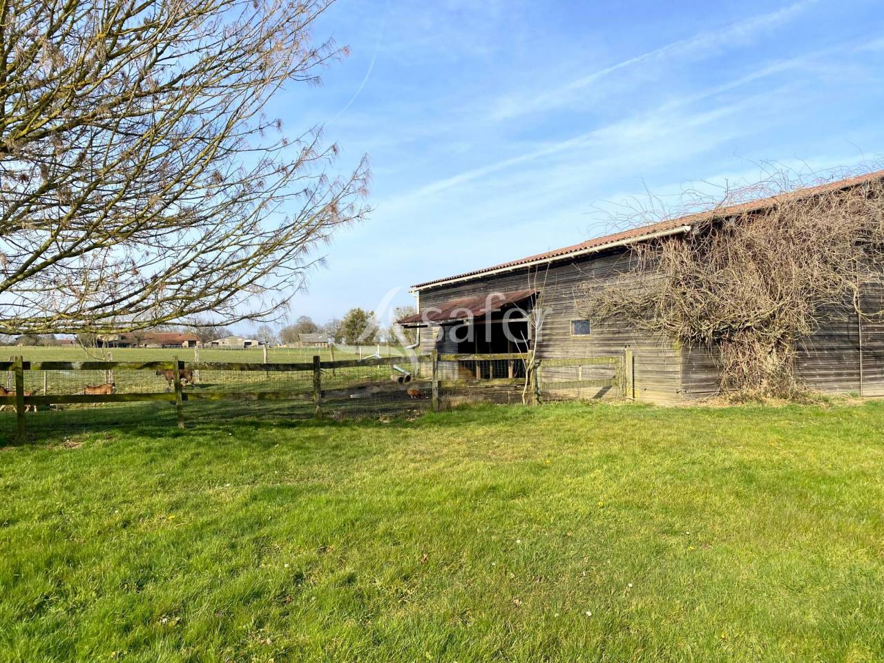 Equestrian property  Ain