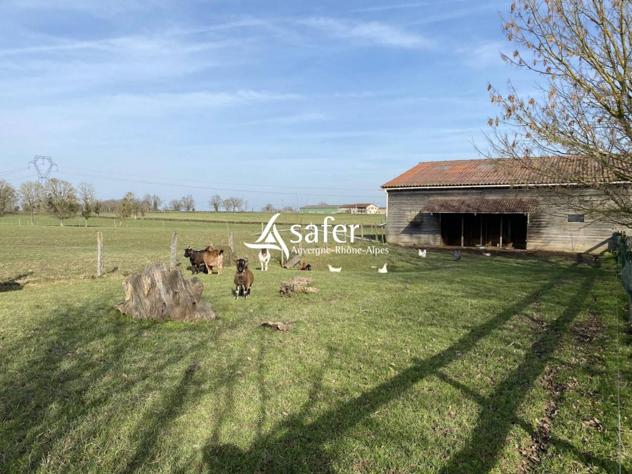 Equestrian property  Ain