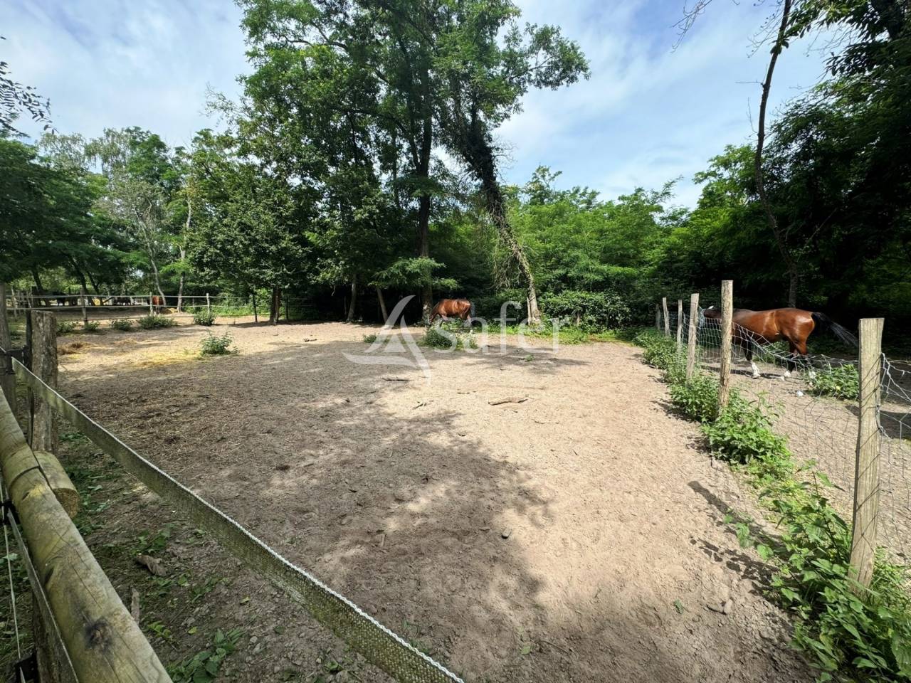 Equestrian property  Seine-et-Marne