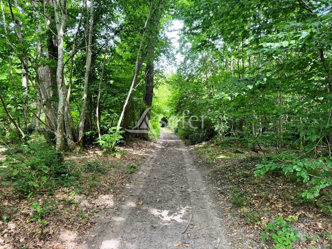 Equestrian property  Seine-et-Marne
