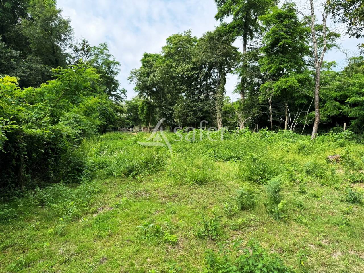 Equestrian property  Seine-et-Marne