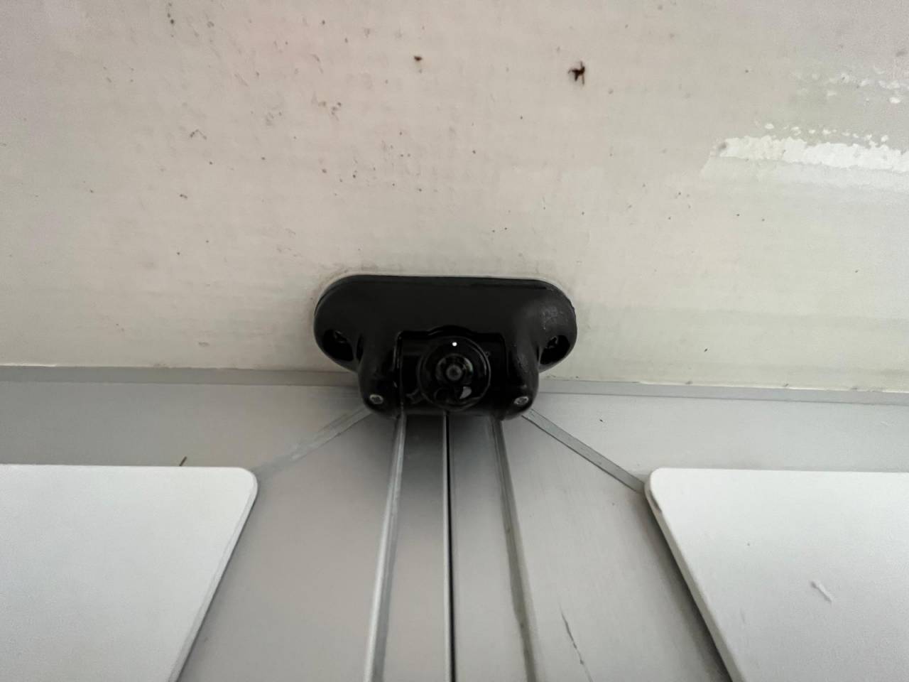 Horsebox HGV STX STX 2021 Used