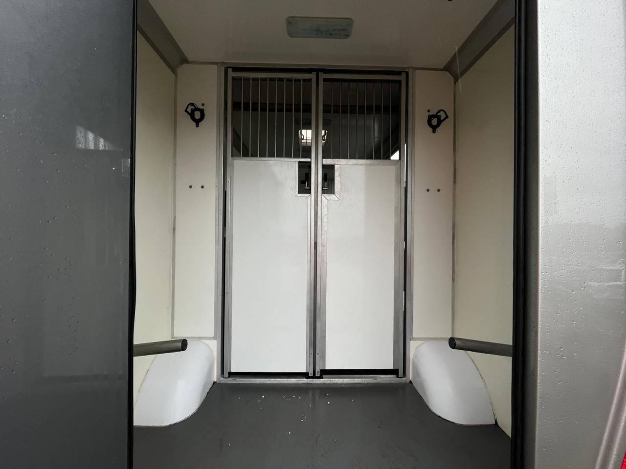 Horsebox HGV STX STX 2021 Used