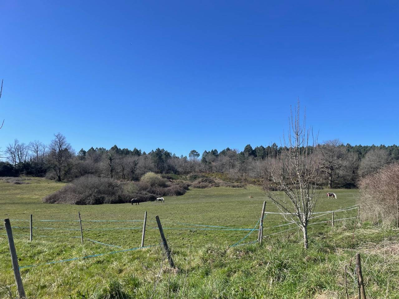 Equestrian property  Charente-Maritime