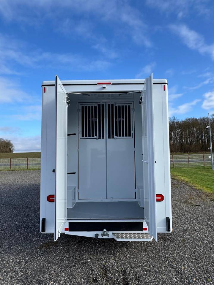 Horsebox HGV TBST Renault Master 2025 New